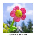 ��ũ�ص� �����ϲ� ���� ����ȫ 45cm 