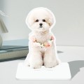 �̴� ��Ŵ� �� 140x340mm �ǻ� ��� ���� �ι� ���ĵ� �԰���